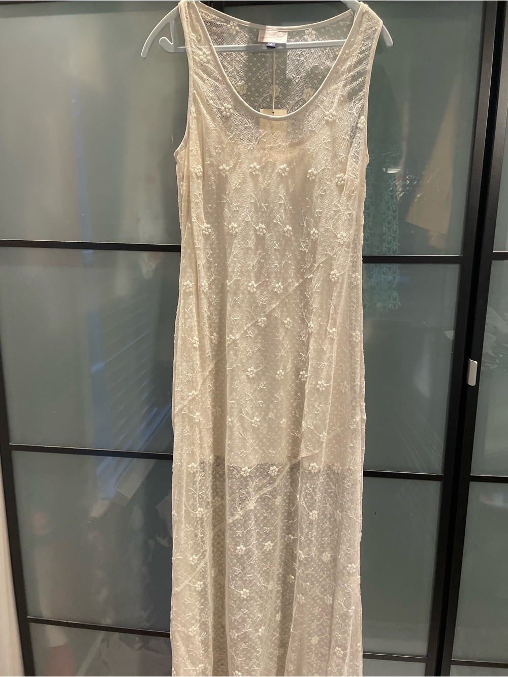 Universal Thread Ivory Sheer Lace Maxi Dress